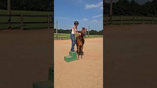 Cricket - Video 2