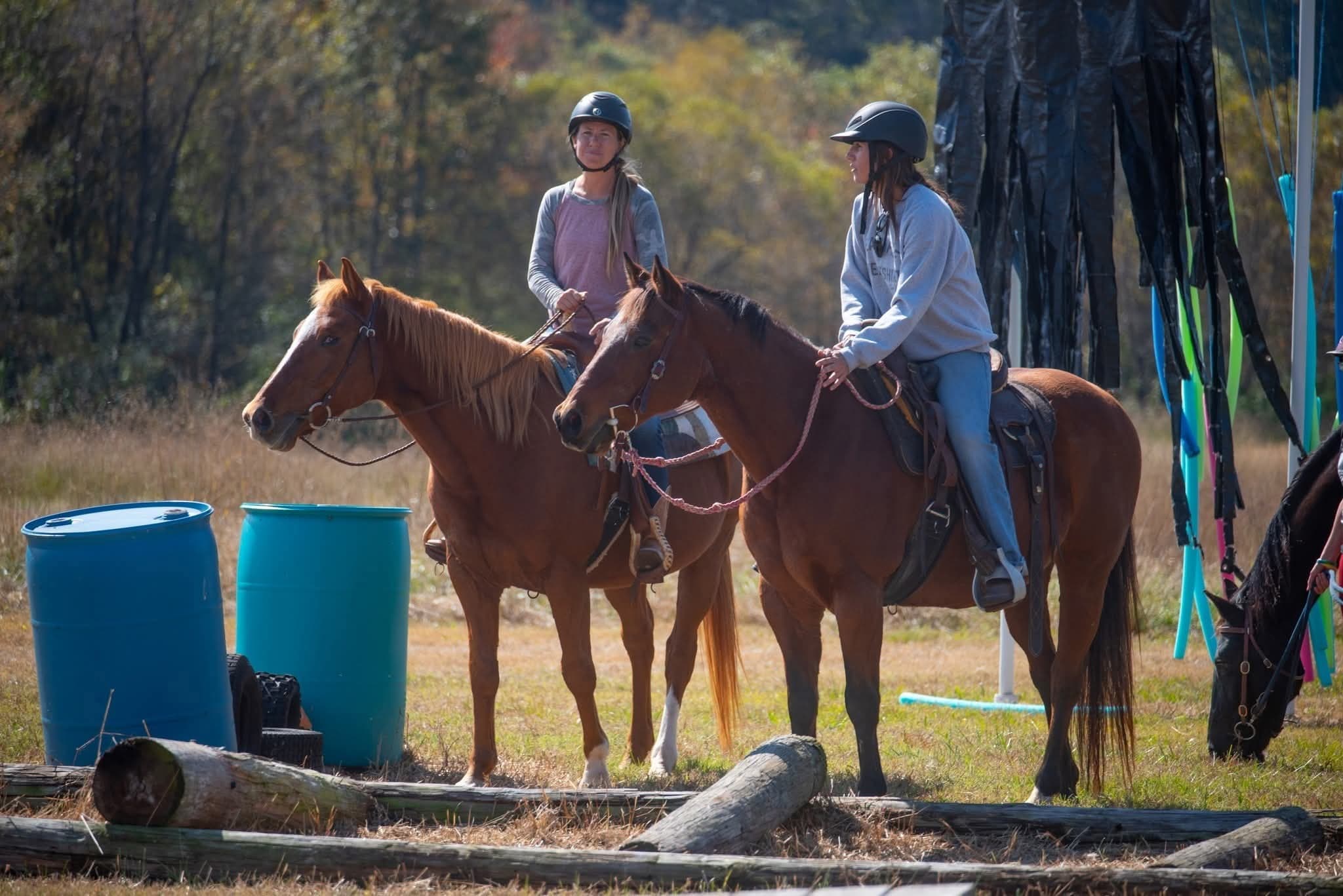 Training & Clinics - Image 3