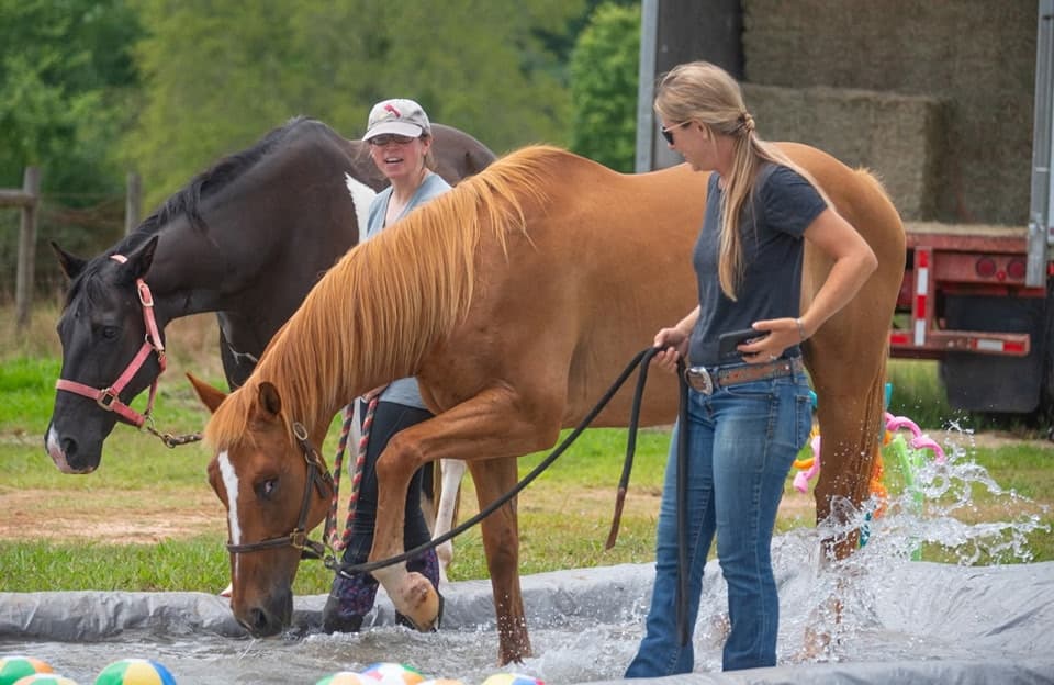 Training & Clinics - Image 4