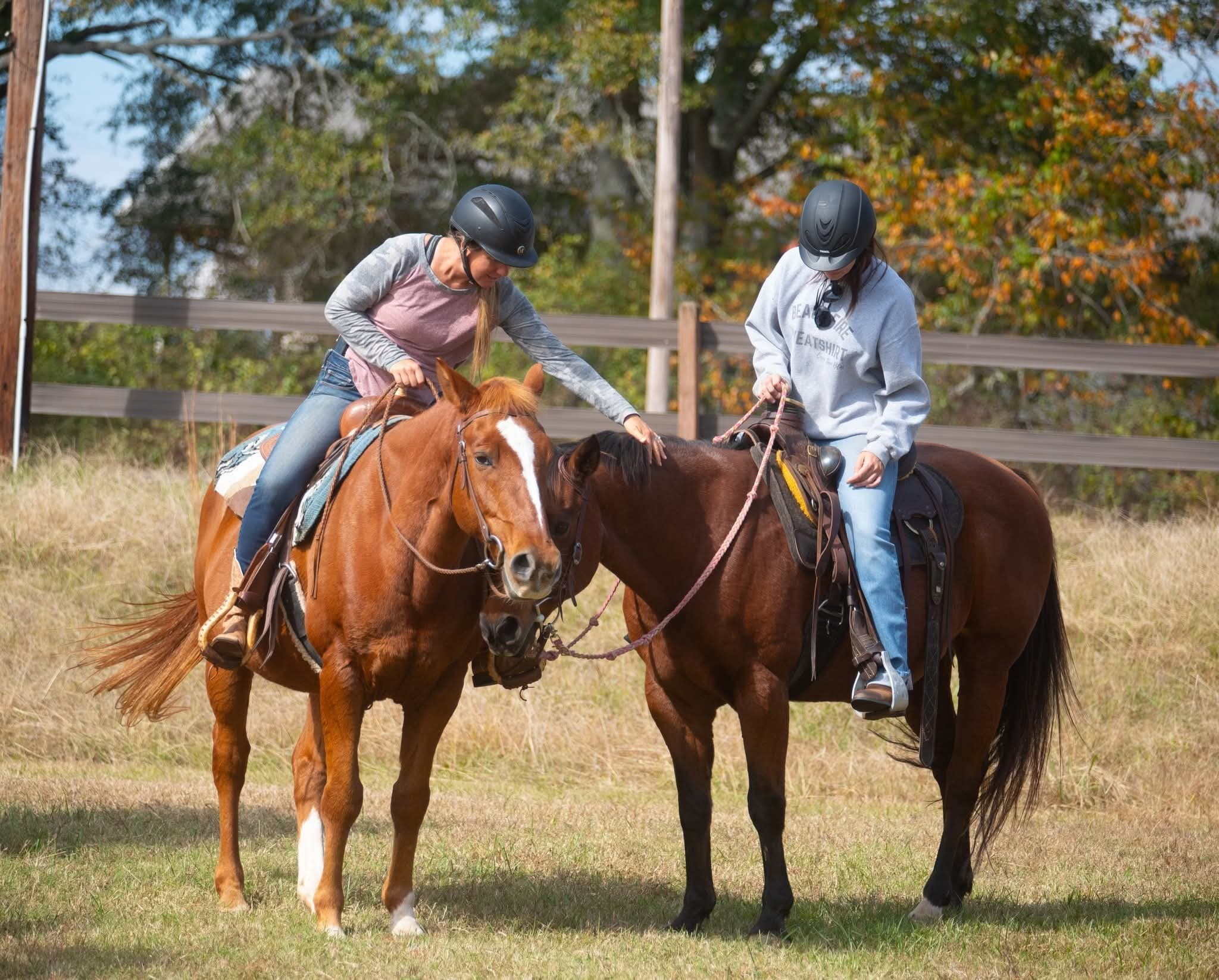 Training & Clinics - Image 5