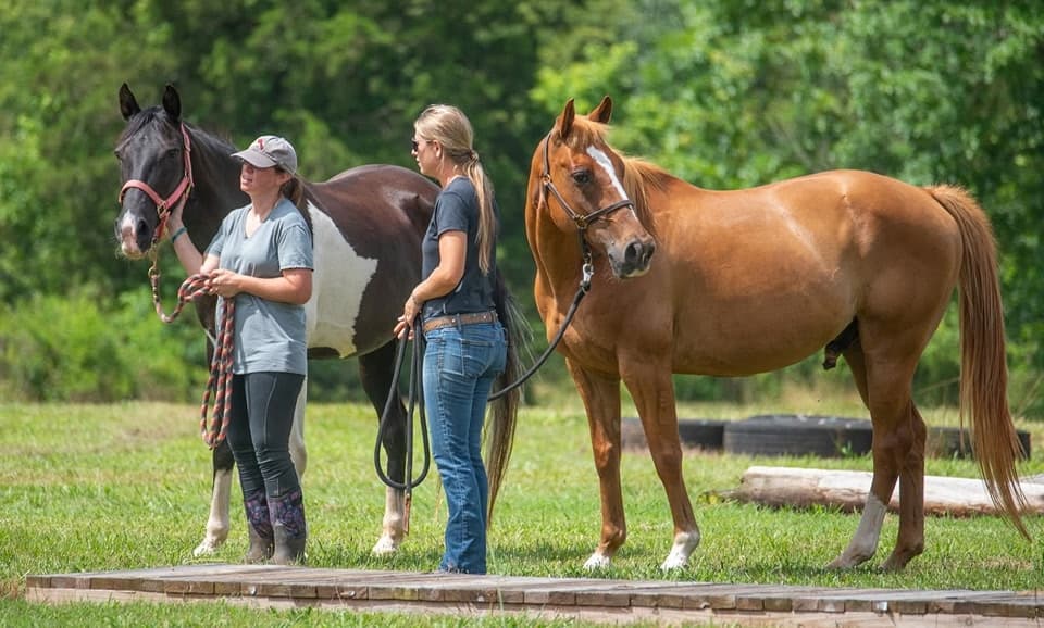 Red Cedar Equestrian