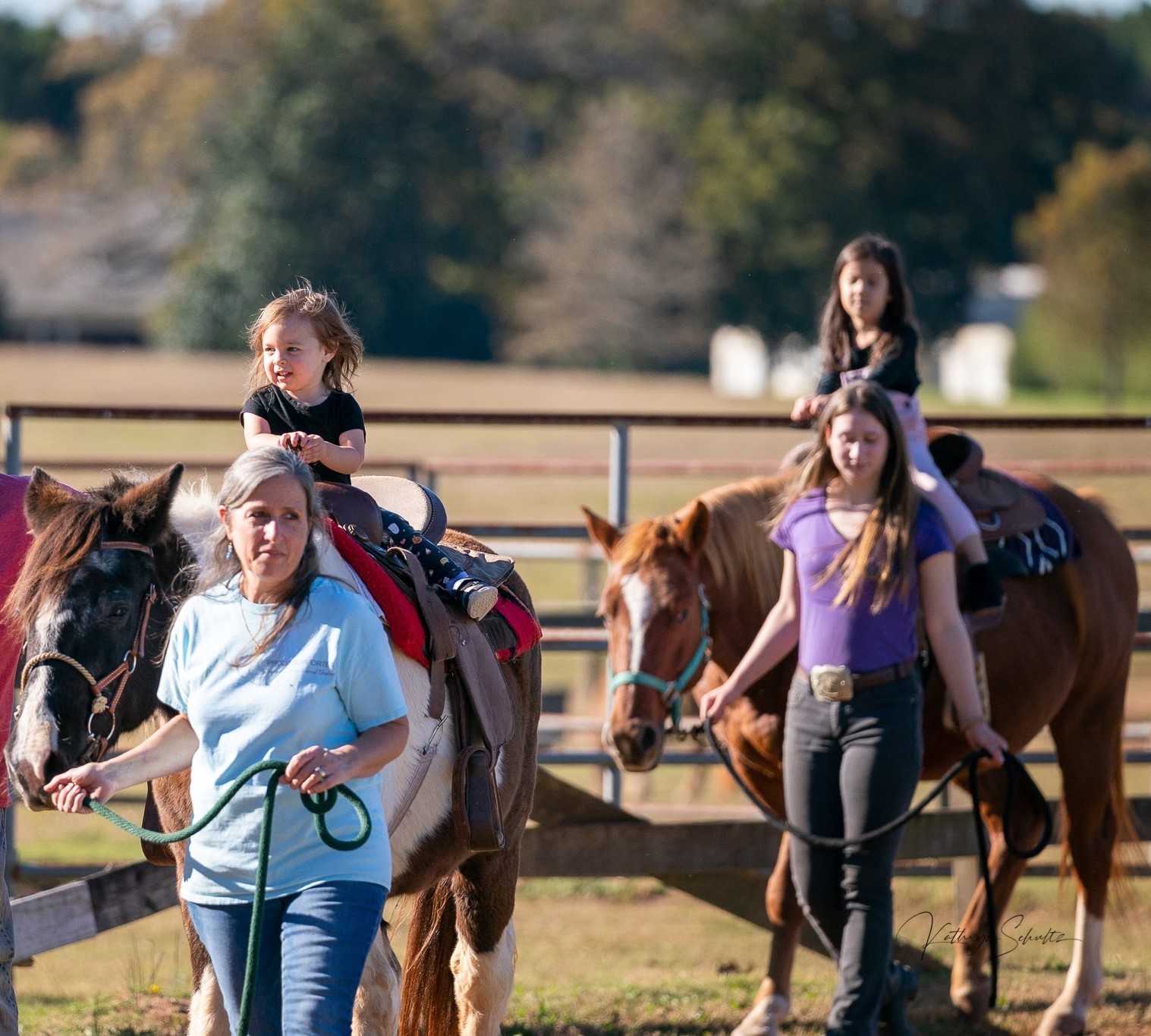 One hour pony rides